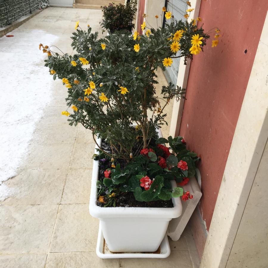Amaranto Bnb Matera Buitenkant foto